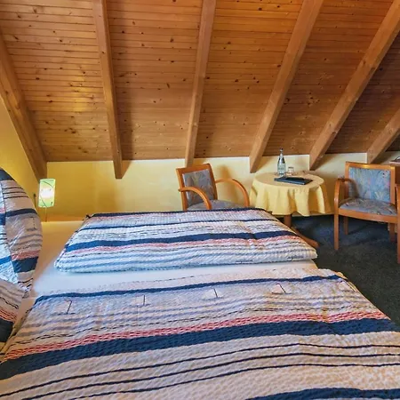 Hotel Friesenhus 3*
